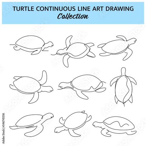 Set of turtle line design. Simple animal silhouette decorative elements drawn with one continuous line. Vector illustration of minimalist style on white background.