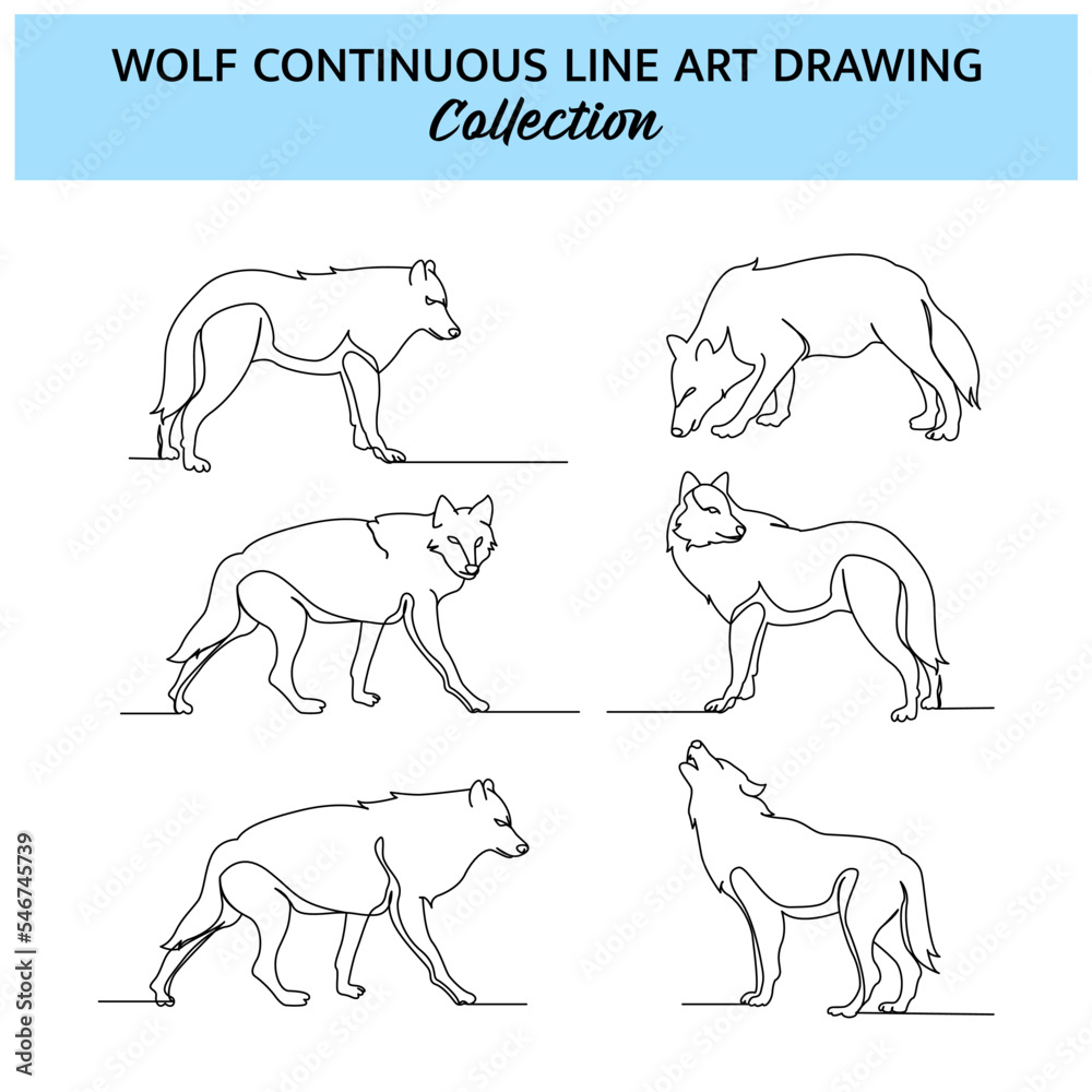 Set of wolf line design. Simple animal silhouette decorative elements drawn with one continuous line. Vector illustration of minimalist style on white background.