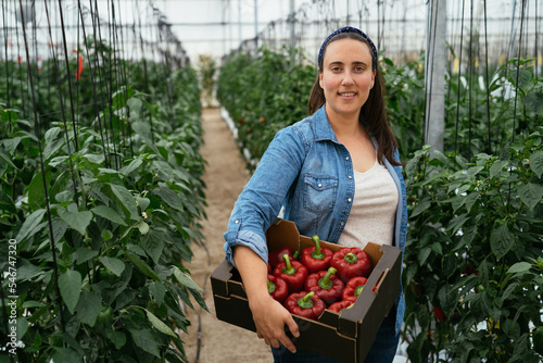 Positive lady with bell peppers box smiling in hothouse photo