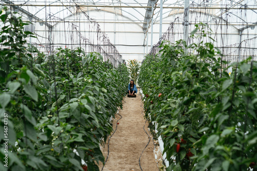 Woman working in spacious greenhouse