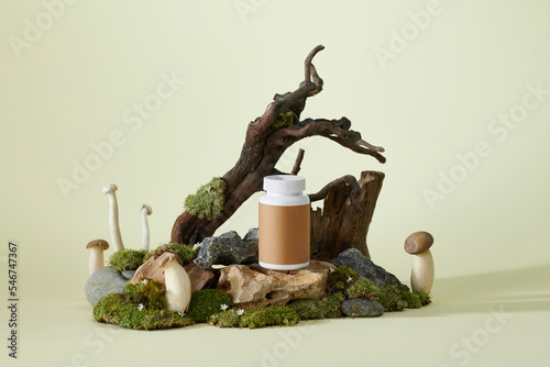 Lingzhi mushroom or Reishi mushroom supplement capsules photo