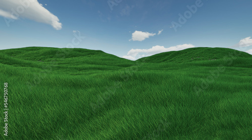 Colorful Grass FIeld