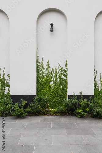 An exterior recessed architectural feature arch with creeping vine photo