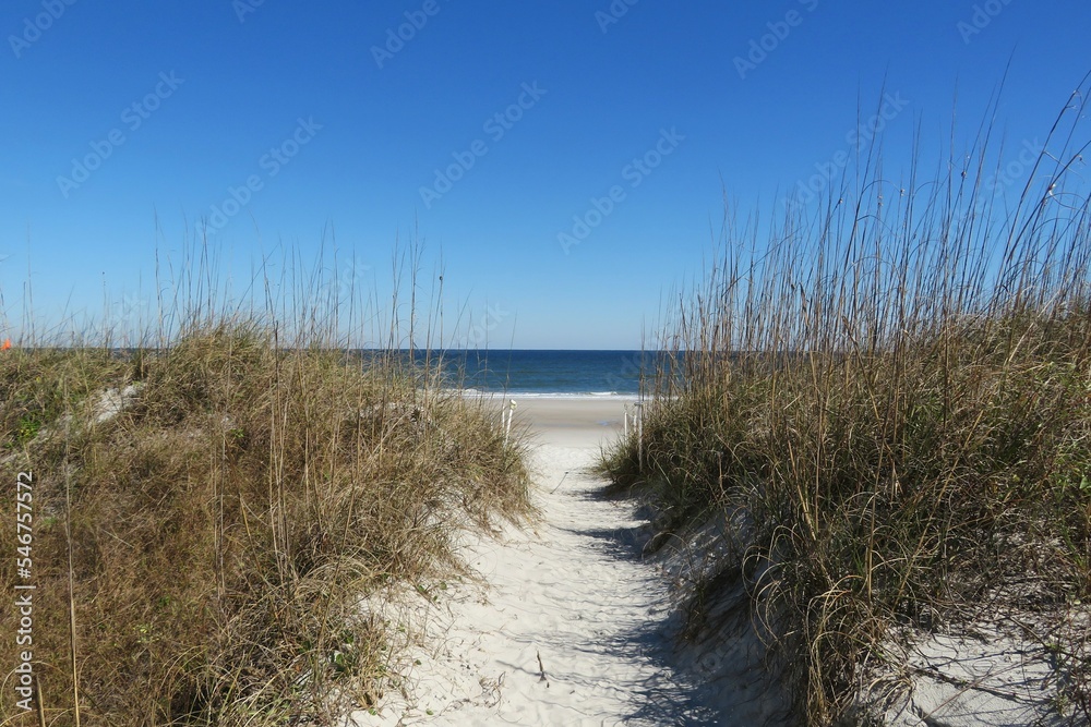 Sand dunes on Atlantic coast of North Florida 
