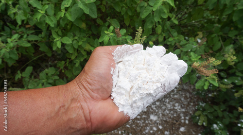 Hand holding white flour for baking or food