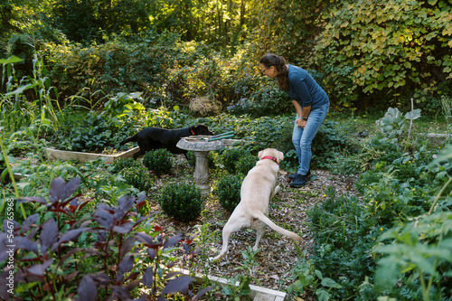 Smiling Middle-Aged Woman in the garden with her dogs