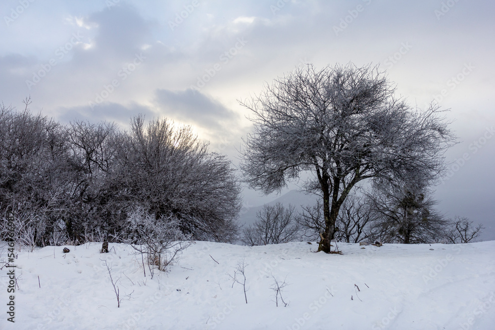 Fototapeta premium Winter forest, sunrise in the mountains, panorama from the site located on the ridge of the tourist route..