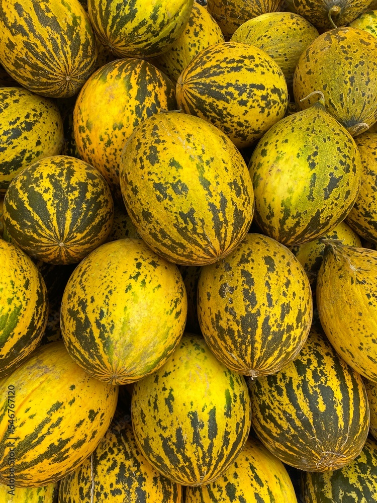 Turkish Melon Fresh Fruits and Vegetables from the Turkish market