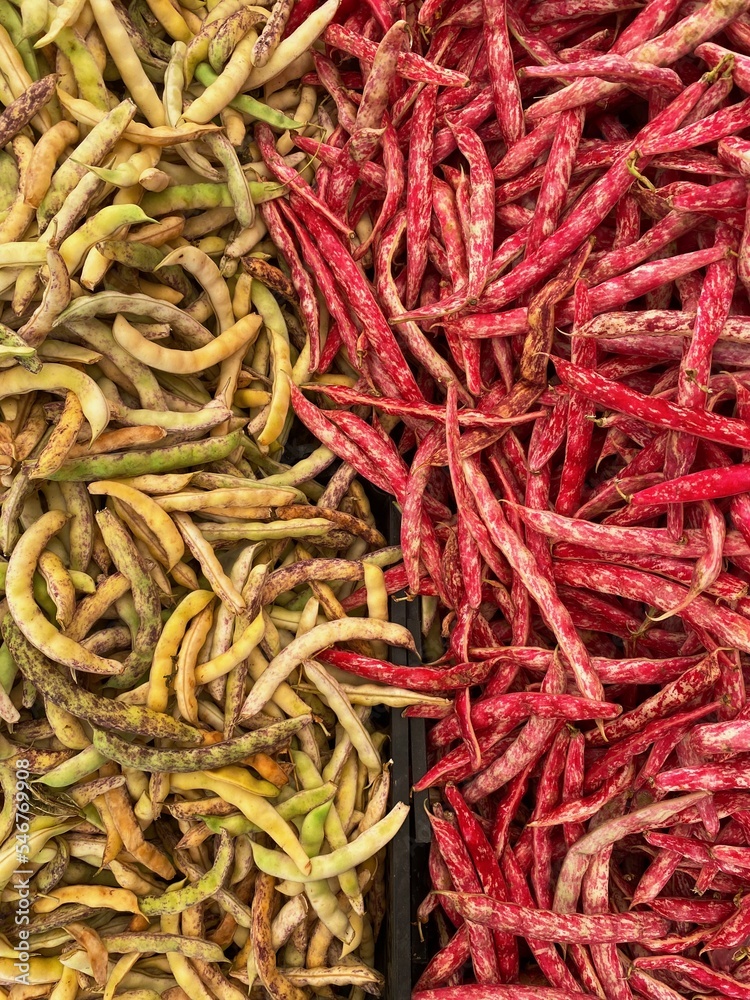 long green and red beans pattern long green and red beans pattern