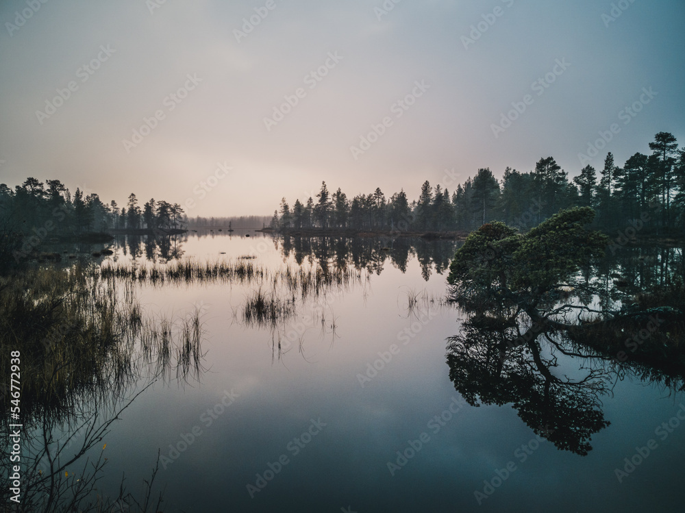 Nature of the North Is Vibrant Even with the Sometimes Hars Conditions Nature of the North Is Vibrant Even with the Sometimes Hars Conditions