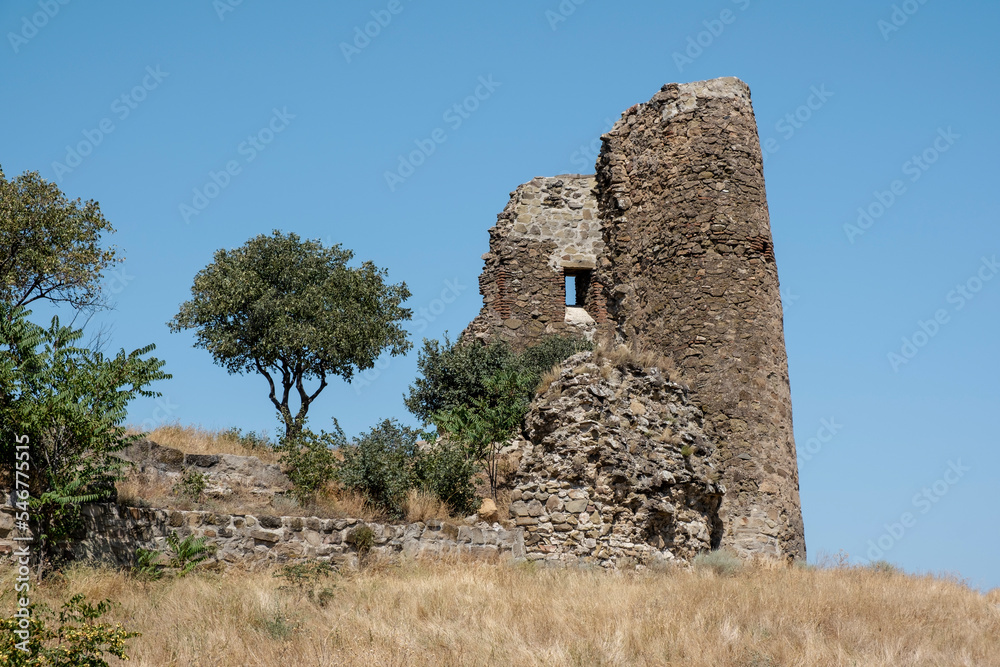 Jvary Monastery ruins