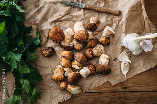 Ceps and herbs  photo
