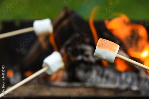 Delicious puffy marshmallows roasting over bonfire, closeup. Space for text