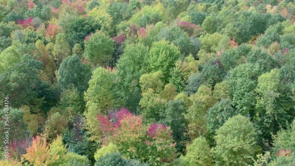 Overflight over large reserve area with change and color of foliage during autumn Overflight over large reserve area with change and color of foliage during autumn
