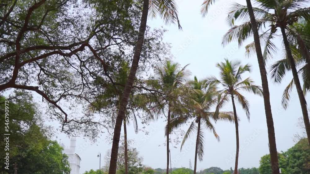 Wide angle shot of Palm trees besides the Basilica of Bom Jesus church at Goa in India. Palm trees besides the UNESCO world heritage site. Palm trees around the old church in front of sky at Goa. Wide angle shot of Palm trees besides the Basilica of Bom Jesus church at Goa in India. Palm trees besides the UNESCO world heritage site. Palm trees around the old church in front of sky at Goa.