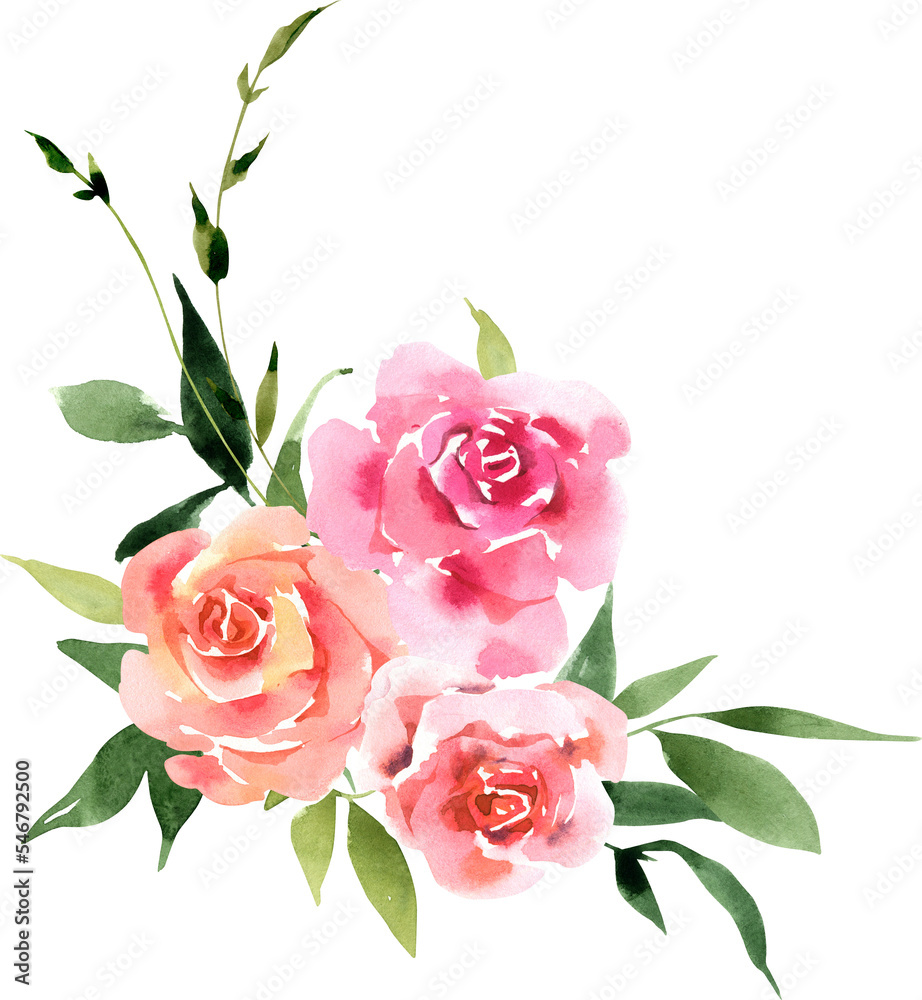 Watercolor bouquet of pink roses