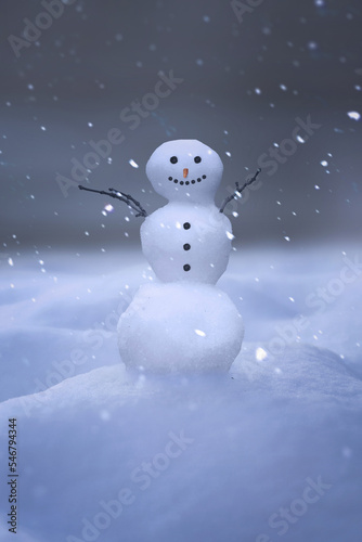 Cute snowman standing in a snow covered landscape.