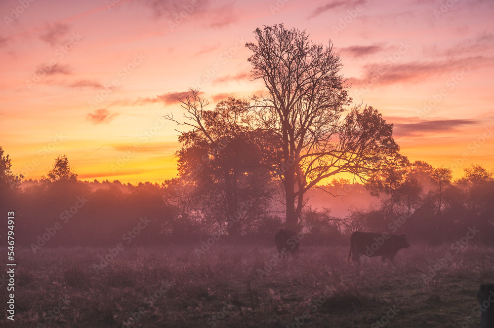 Obraz premium Celle, 23.11.20222