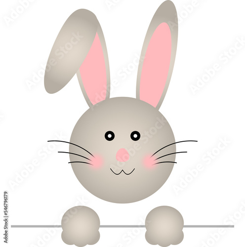 Fototapeta Naklejka Na Ścianę i Meble -  Cute Bunny rabbit cartoon
