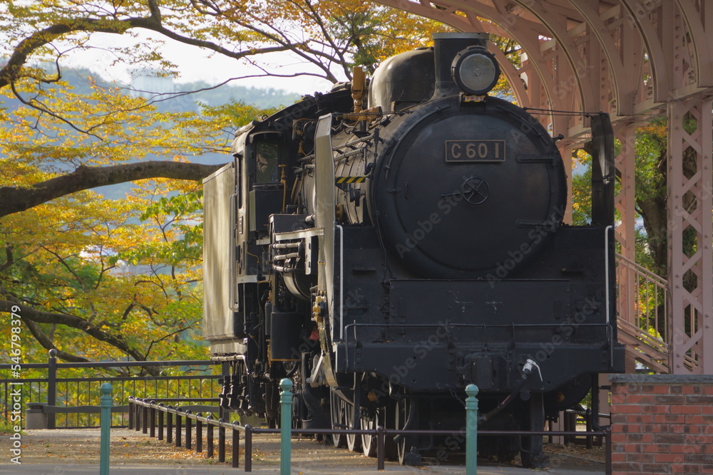 Obraz premium Old locomotive used in Japan