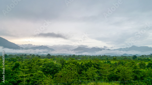 The Mountain Forest on Background of cloudy
