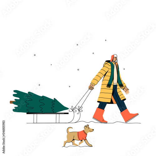 A man with a dog is carrying a Christmas tree on a sleigh.