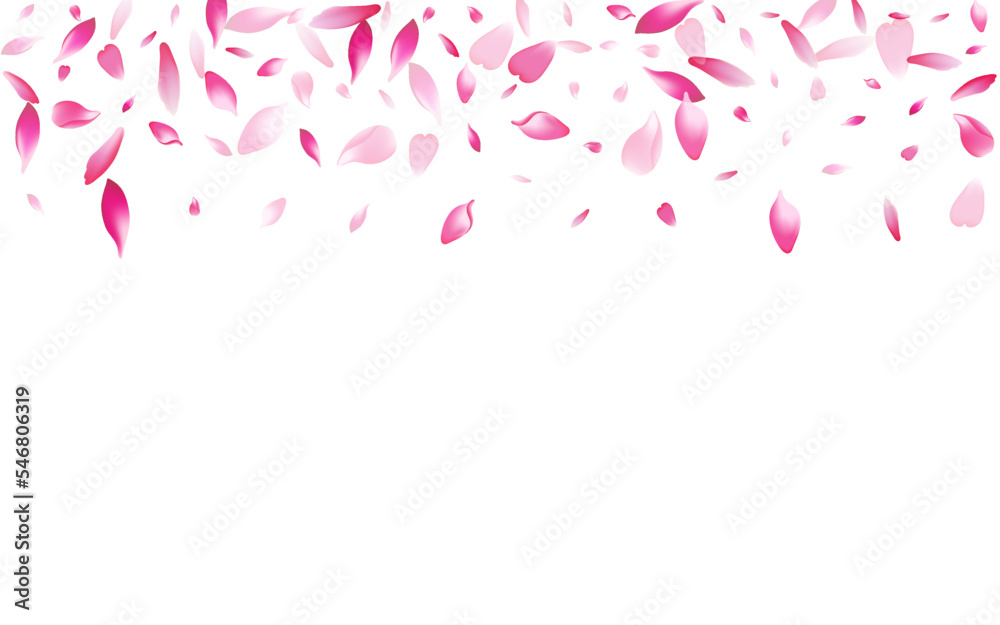 Pastel Rose Petal Vector White Background. Purple