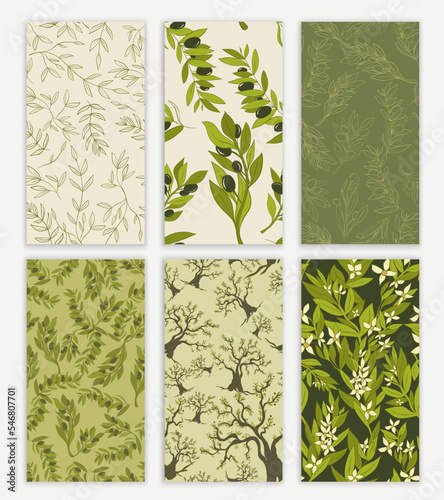 Set editable seamless pattern of labels or stickers for bottles or cans of tin or packaging of Vegetable Olive Oil.Traditional retro graphic with flowers olives leaves tree and olive twigs