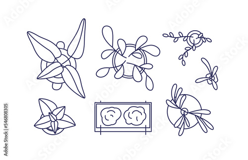 Potted plants top view. Overhead houseplants, flower in vase, home decoration set for interior design, floor plan layout. Outlined contoured flat vector illustrations isolated on white background