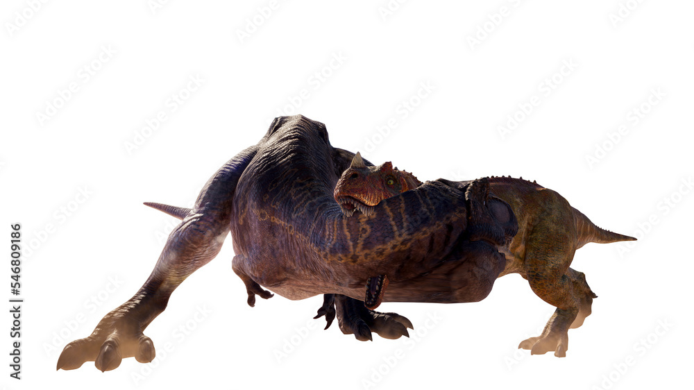 tyrannosaurus-rex vs Ceratosaurus PNG