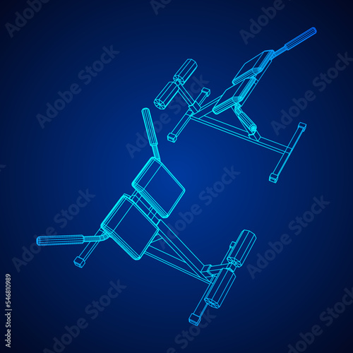Modern exercise machine for the back and abs. Hyperextension simulator.