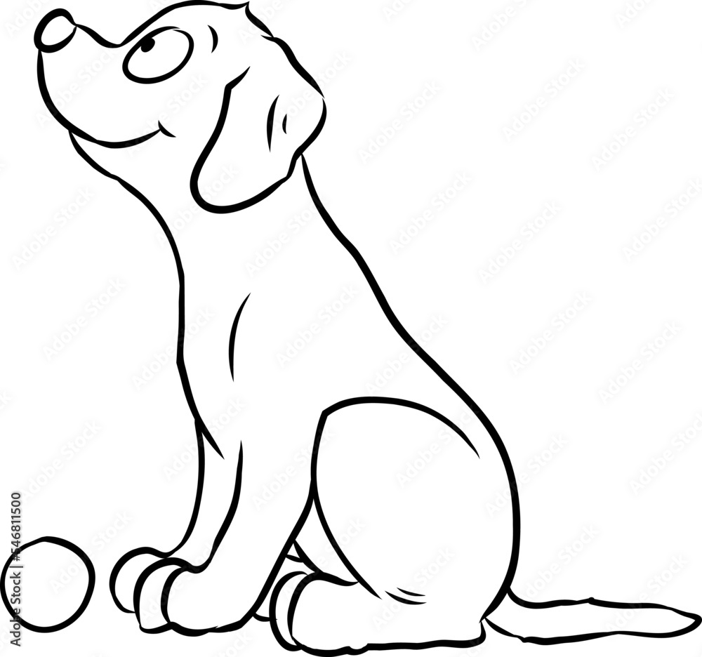 Niedlicher kleiner Welpe sitzt brav vor einem Spielball Niedlicher kleiner Welpe sitzt brav vor einem Spielball