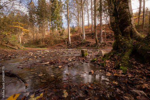 Quellwasser  Wasserlauf  Bach  Lillachquelle