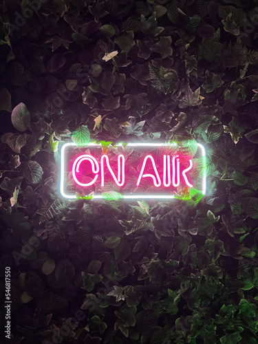 magenta neon sign on air with ivy plant fern background living wall