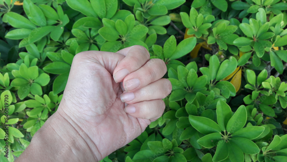 Man palm isolated pose. Hand pose closeup. Photos of various poses of