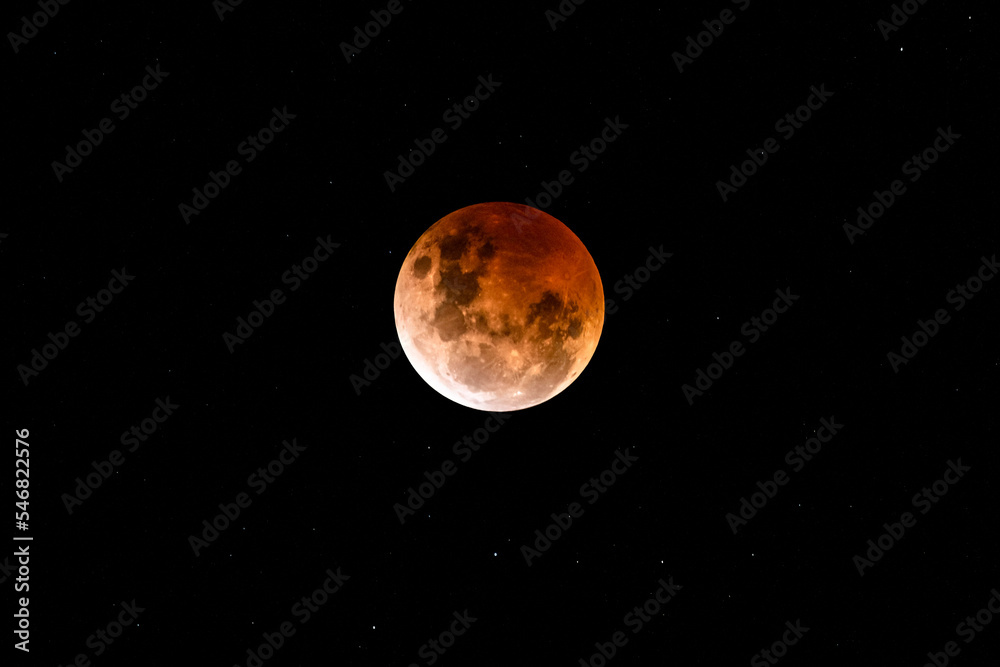 Fototapeta premium The Beaver Blood Moon Lunar Eclipse in a clear night sky at Macmasters Beach, NSW, Australia.