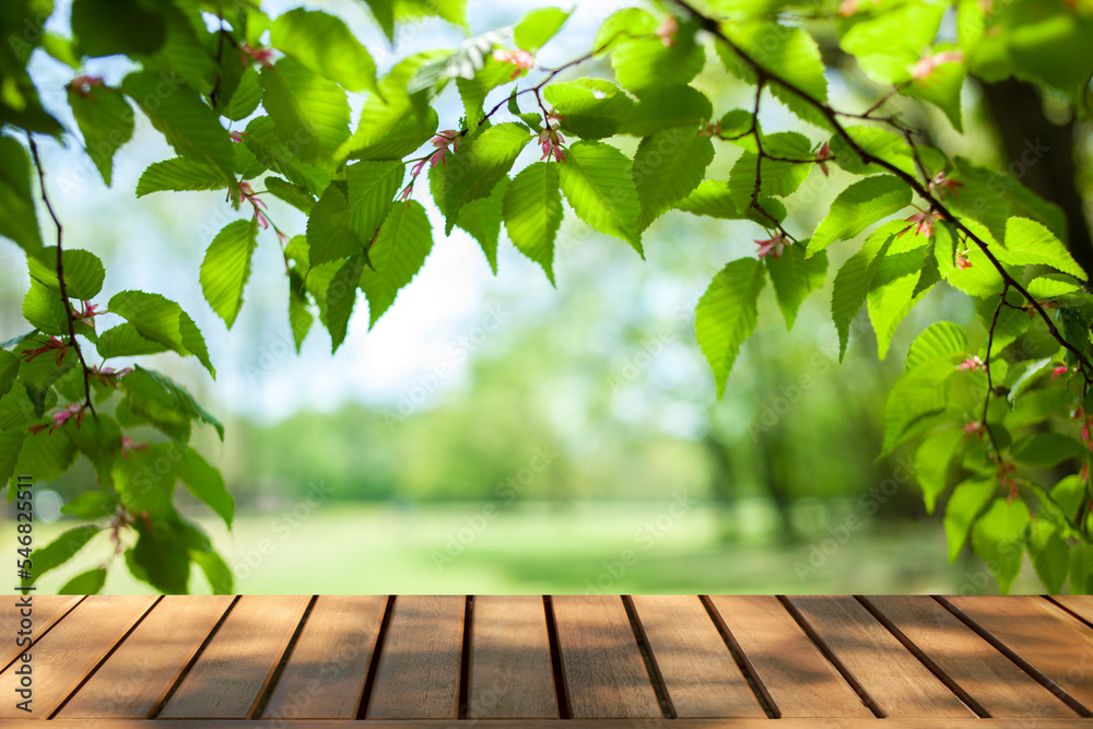 wooden table with park bokeh background wooden table with park bokeh background