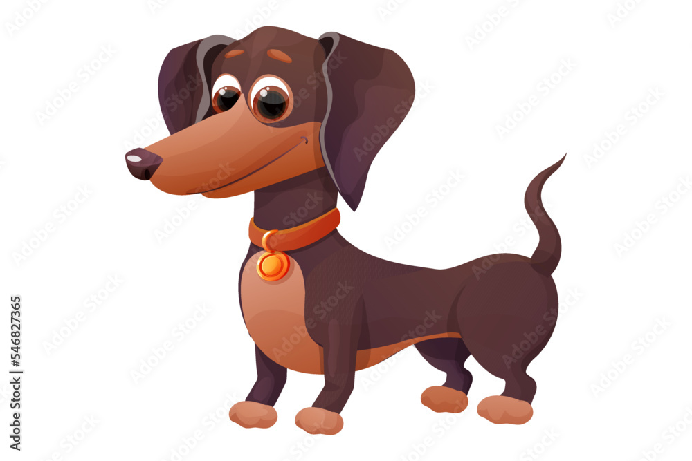 Cute dachshund puppy, standing and smiling in cartoon style, bright pet character isolated on white background.