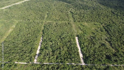 Highway nature mexico merida yucatan aerial view drone nature sunset beautiful