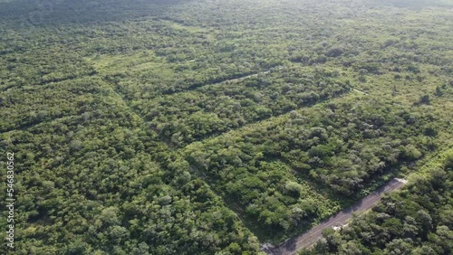 Highway nature mexico merida yucatan aerial view drone nature sunset beautiful