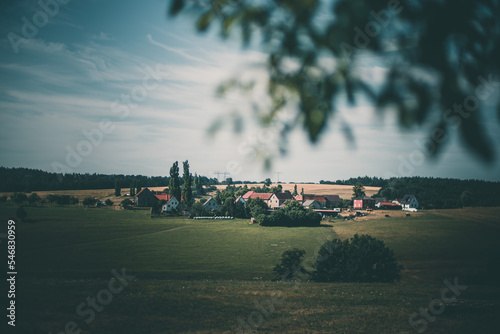 Fototapeta Naklejka Na Ścianę i Meble -  tree branches In the foreground and a village On the horizon a summer landscape