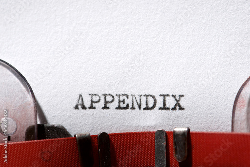 Appendix concept view photo