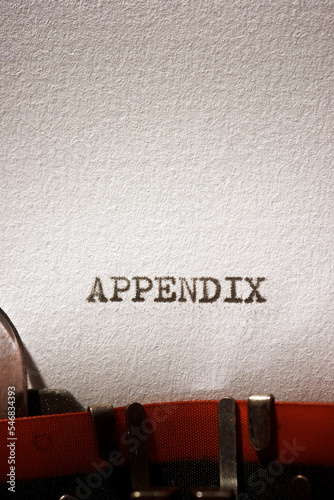 Obraz na płótnie Appendix concept view