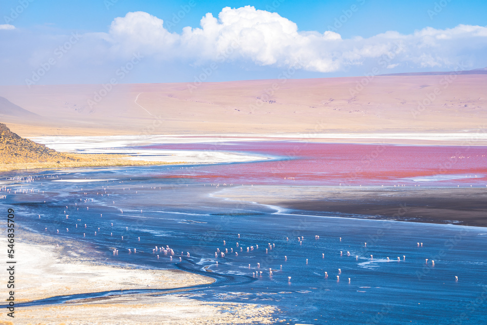 panoramic view of reserva natural eduardo abaroa parkland in bolivia