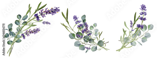 Fotografija Watercolor eucalyptus leaves and lavender flower illustration