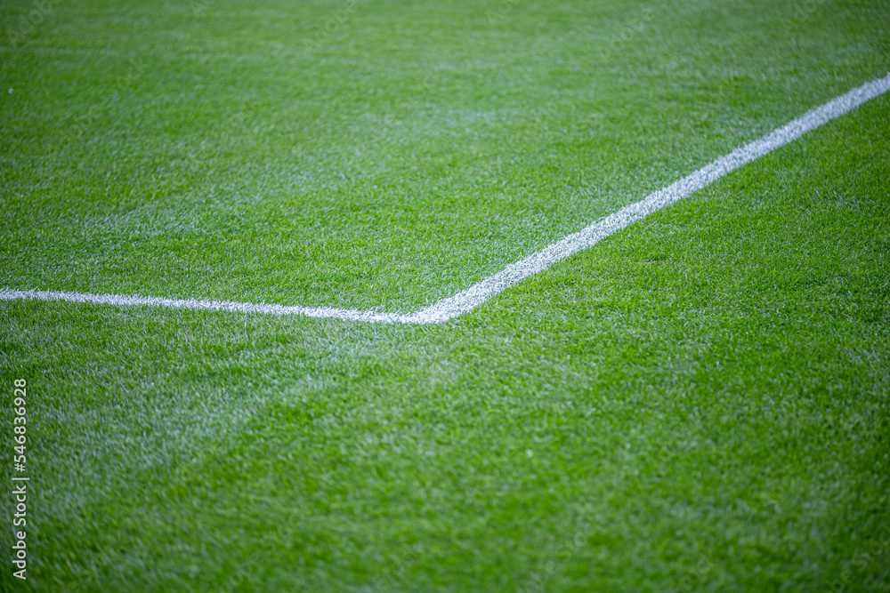 Obraz premium Green grass soccer field