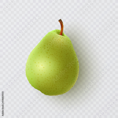 Fresh Green pears isolated on white. Vector illustration