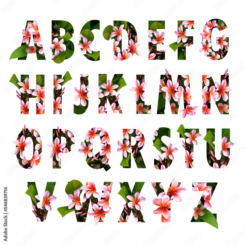 Floral letters. Capital letters made from flower photos. A collection of flora letters for decorations and various creation ideas.