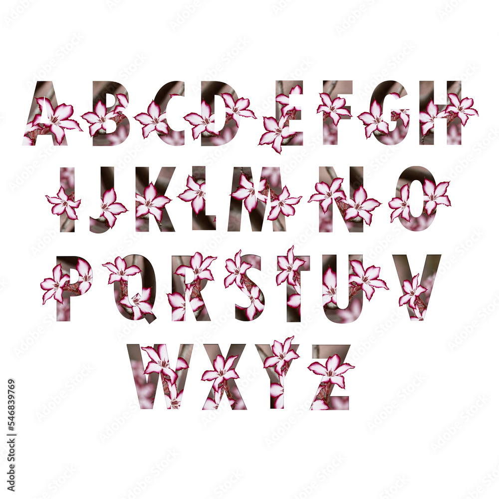 Naklejka premium Floral letters. Capital letters made from flower photos. A collection of flora letters for decorations and various creation ideas.