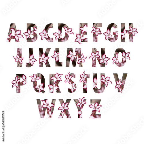 Floral letters. Capital letters made from flower photos. A collection of flora letters for decorations and various creation ideas.
